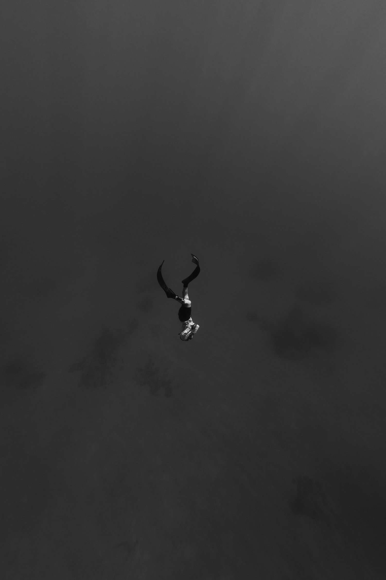 beginnings exuma