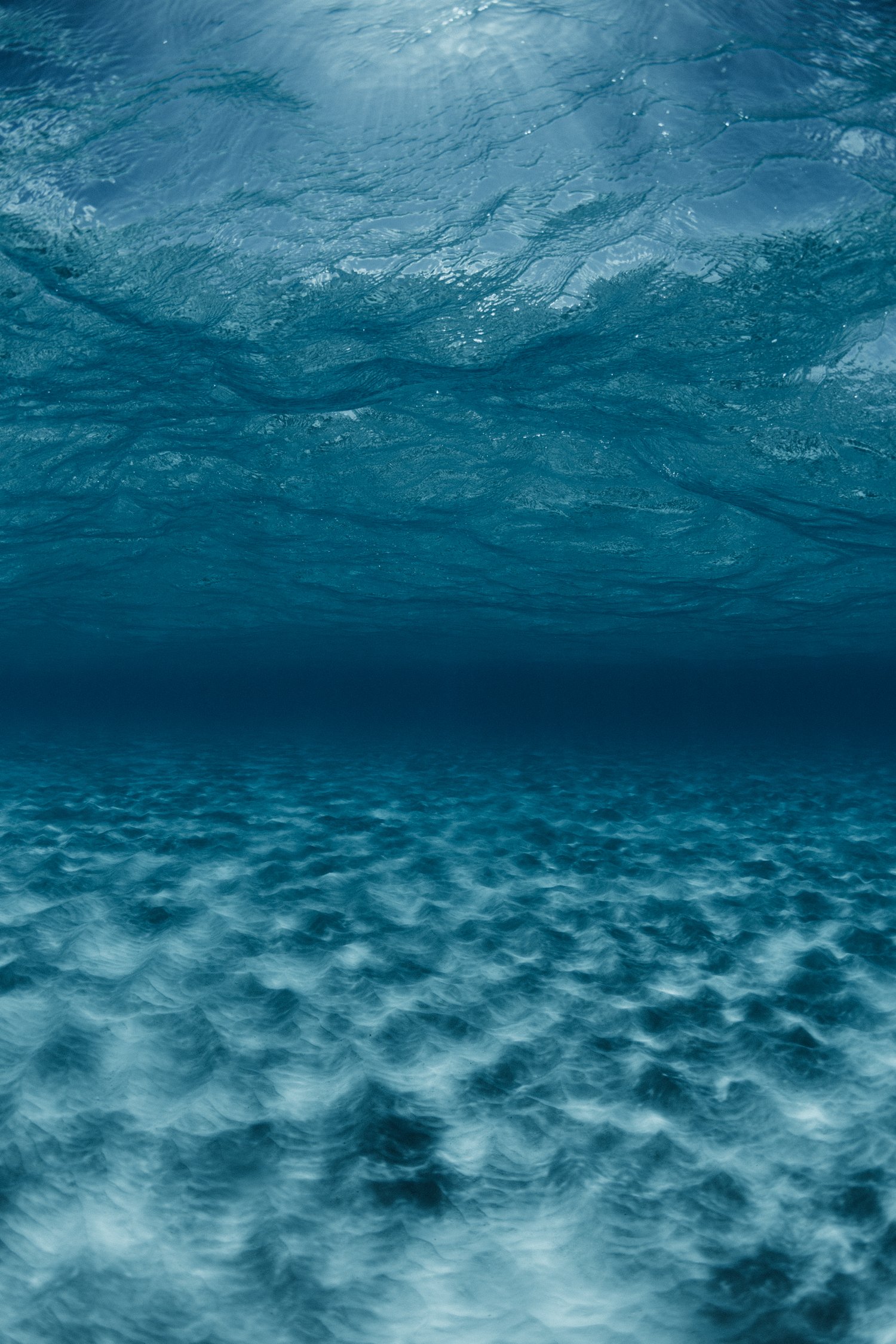 beginnings exuma